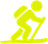ski